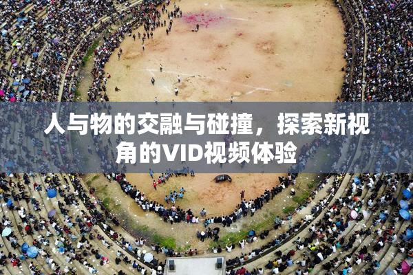 人与物的交融与碰撞，探索新视角的VID视频体验
