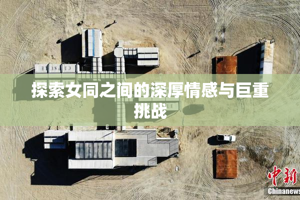 探索女同之间的深厚情感与巨重挑战