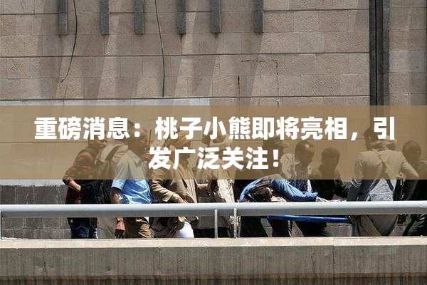 重磅消息：桃子小熊即将亮相，引发广泛关注！