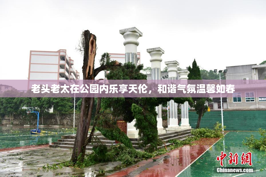 老头老太在公园内乐享天伦，和谐气氛温馨如春