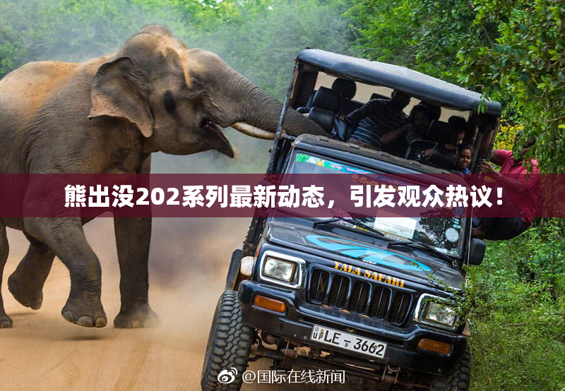 熊出没202系列最新动态，引发观众热议！