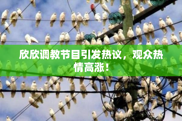 欣欣调教节目引发热议，观众热情高涨！