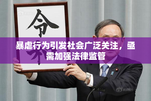 暴虐行为引发社会广泛关注，亟需加强法律监管