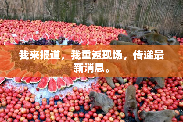我来报道，我重返现场，传递最新消息。
