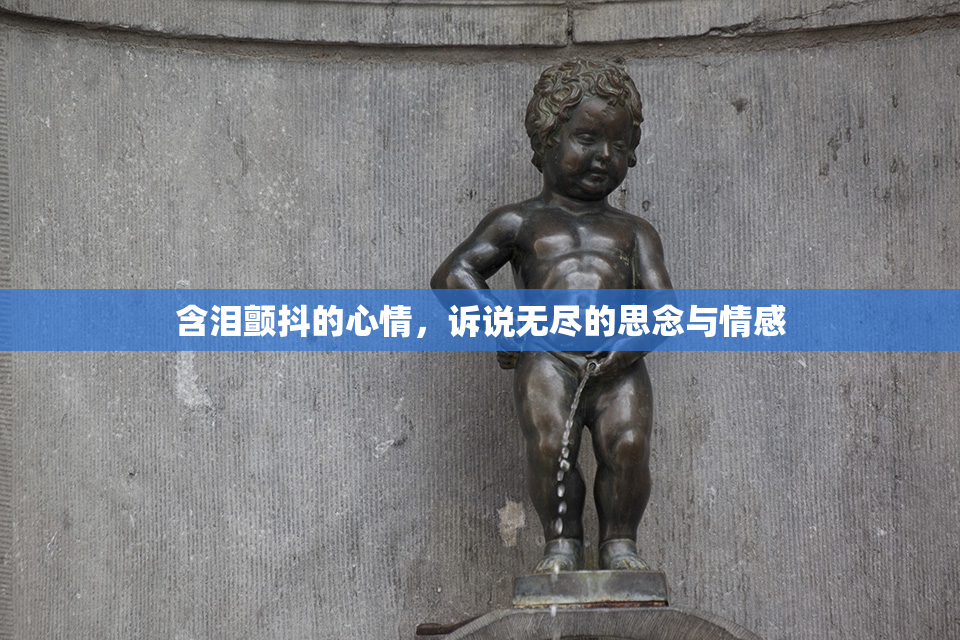 含泪颤抖的心情，诉说无尽的思念与情感