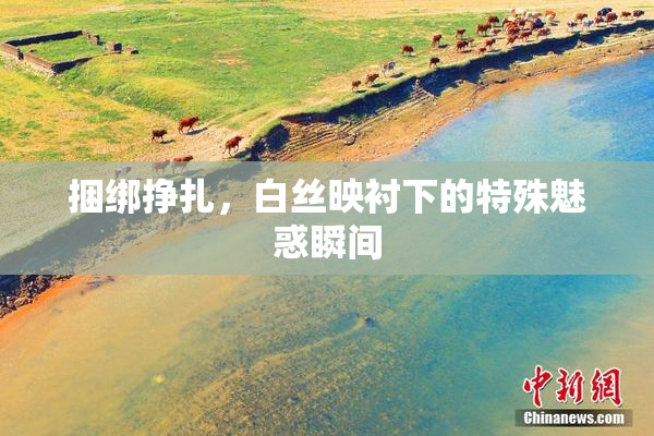 捆绑挣扎，白丝映衬下的特殊魅惑瞬间