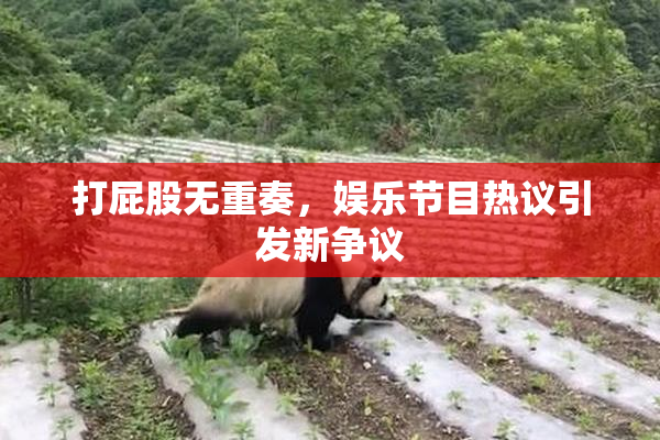 打屁股无重奏，娱乐节目热议引发新争议