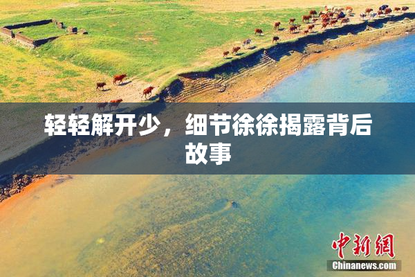 轻轻解开少，细节徐徐揭露背后故事
