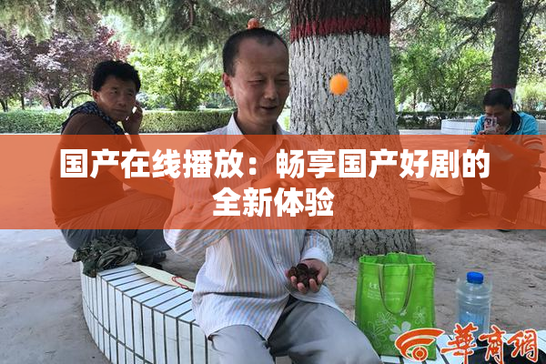 国产在线播放：畅享国产好剧的全新体验
