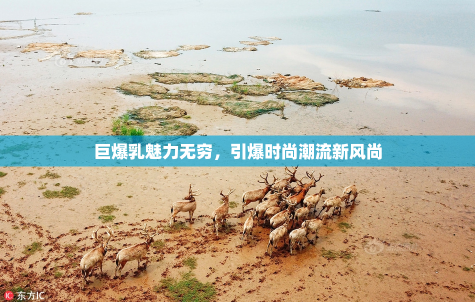 巨爆乳魅力无穷，引爆时尚潮流新风尚