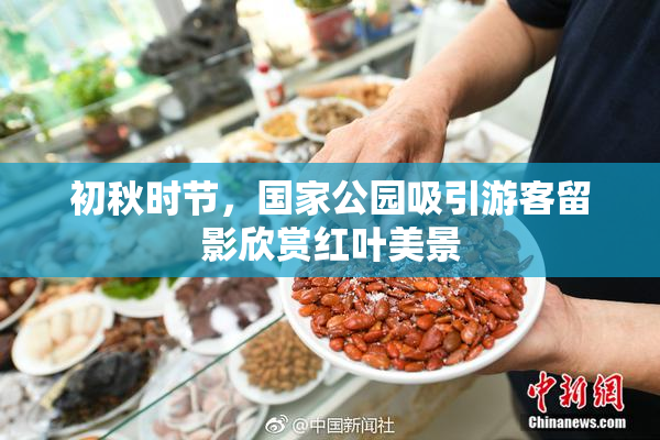 初秋时节，国家公园吸引游客留影欣赏红叶美景