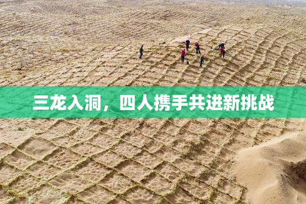 三龙入洞，四人携手共进新挑战