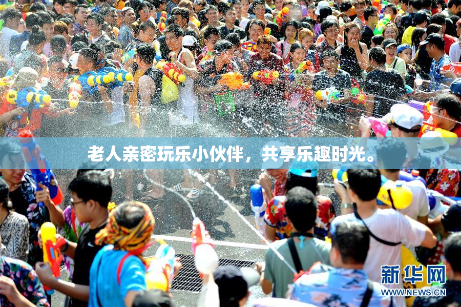 老人亲密玩乐小伙伴，共享乐趣时光。