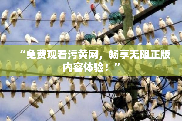 “免费观看污黄网，畅享无阻正版内容体验！”