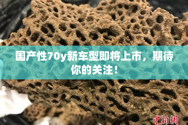 国产性70y新车型即将上市，期待你的关注！