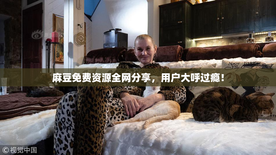 麻豆免费资源全网分享，用户大呼过瘾！