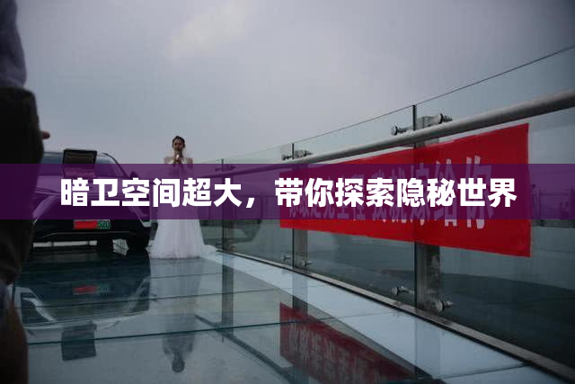 暗卫空间超大，带你探索隐秘世界