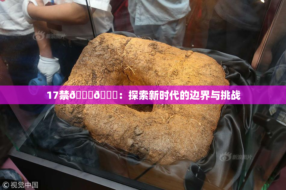 17禁🍆🍑：探索新时代的边界与挑战