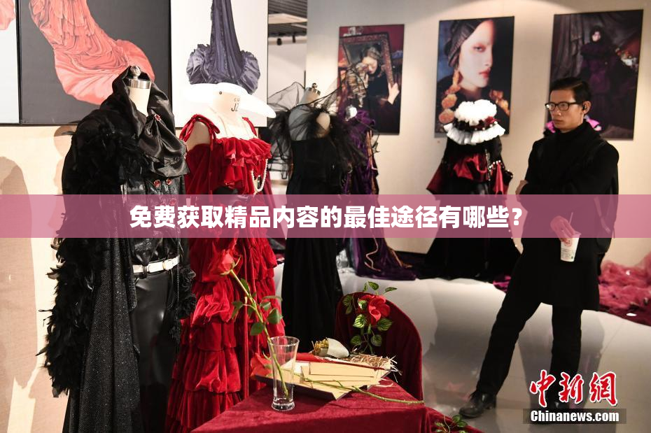 免费获取精品内容的最佳途径有哪些？