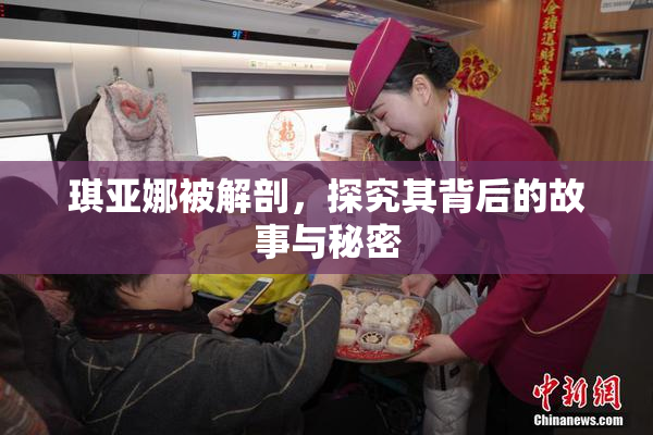 琪亚娜被解剖，探究其背后的故事与秘密