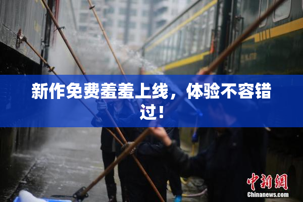 新作免费羞羞上线，体验不容错过！