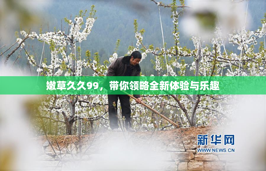 嫩草久久99，带你领略全新体验与乐趣