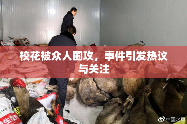 校花被众人围攻，事件引发热议与关注