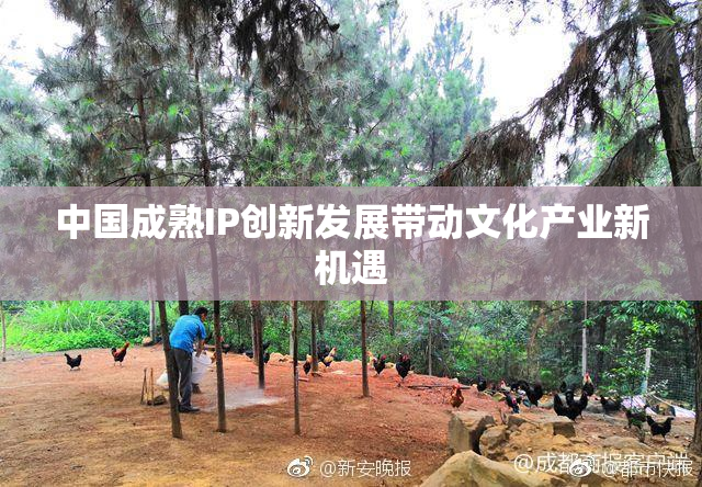 中国成熟IP创新发展带动文化产业新机遇