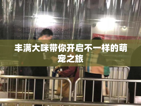 丰满大咪带你开启不一样的萌宠之旅