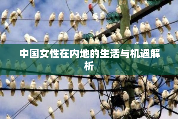 中国女性在内地的生活与机遇解析