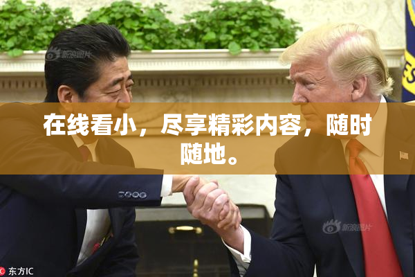 在线看小，尽享精彩内容，随时随地。
