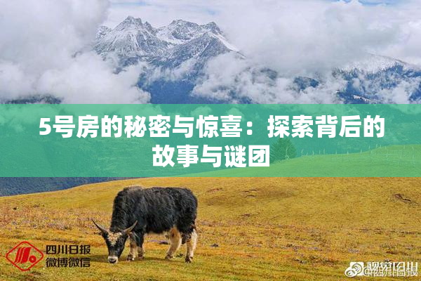 5号房的秘密与惊喜：探索背后的故事与谜团