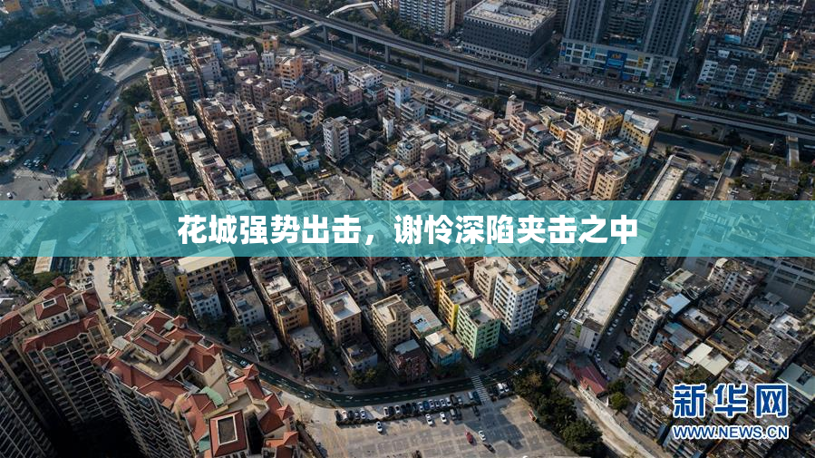 花城强势出击，谢怜深陷夹击之中