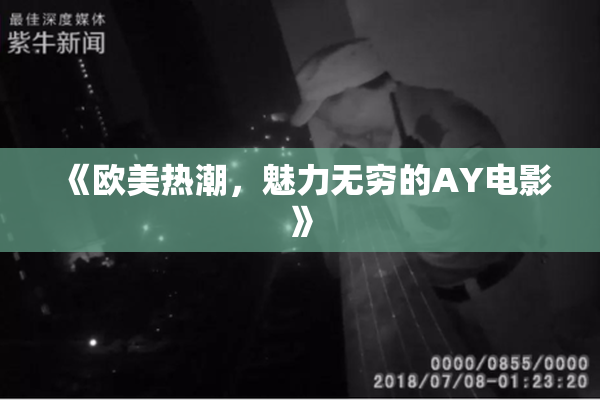 《欧美热潮，魅力无穷的AY电影》