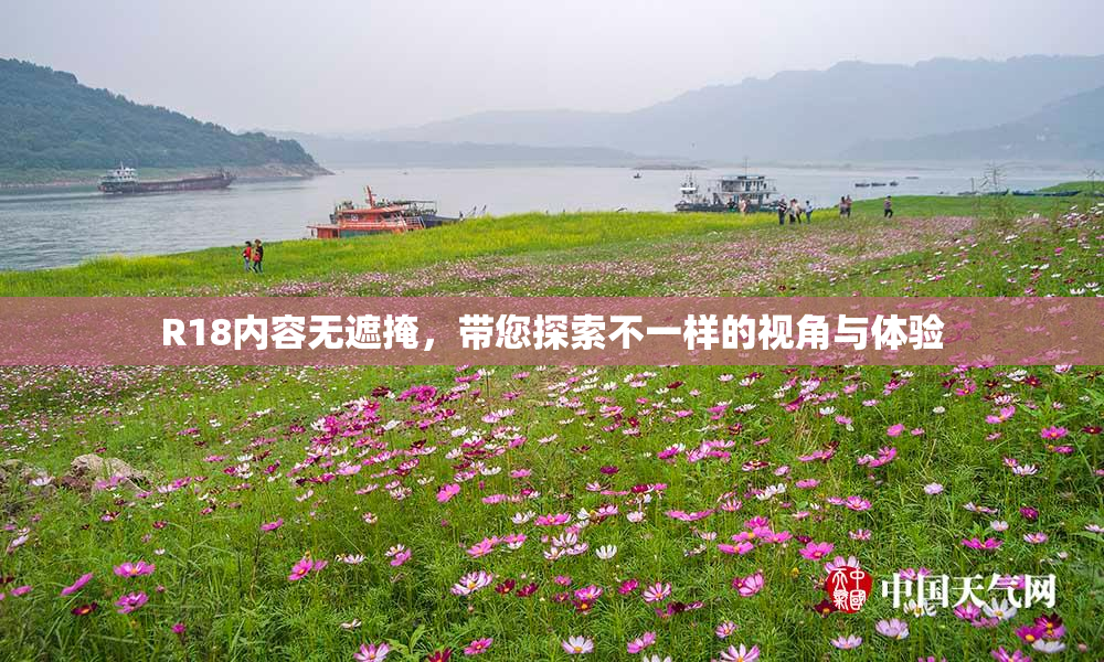 R18内容无遮掩，带您探索不一样的视角与体验