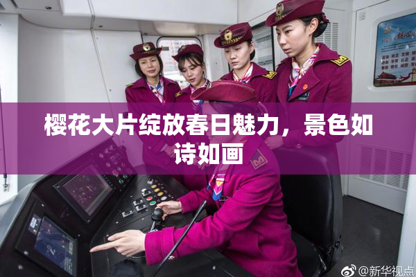 樱花大片绽放春日魅力，景色如诗如画