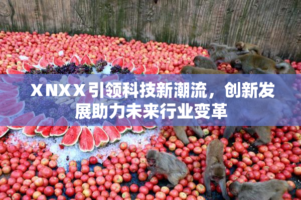 ⅩNXⅩ引领科技新潮流，创新发展助力未来行业变革