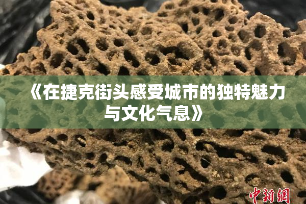 《在捷克街头感受城市的独特魅力与文化气息》
