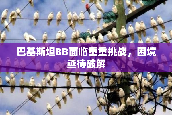 巴基斯坦BB面临重重挑战，困境亟待破解