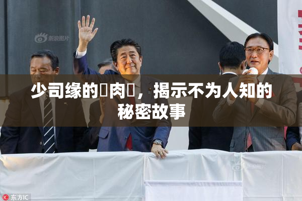 少司缘的婬肉泬，揭示不为人知的秘密故事