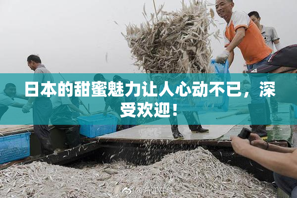 日本的甜蜜魅力让人心动不已，深受欢迎！