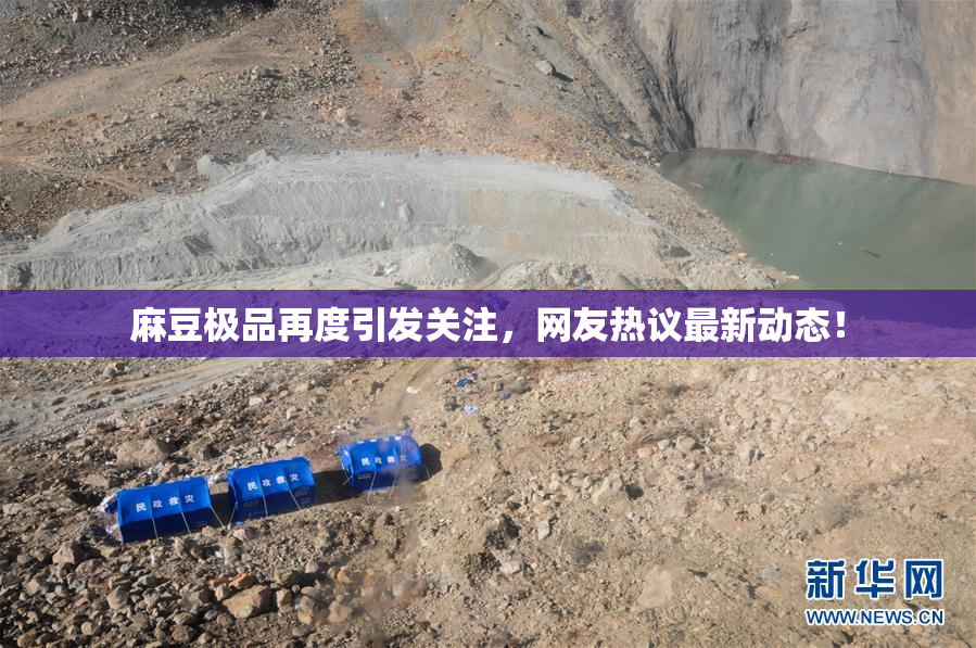 麻豆极品再度引发关注，网友热议最新动态！