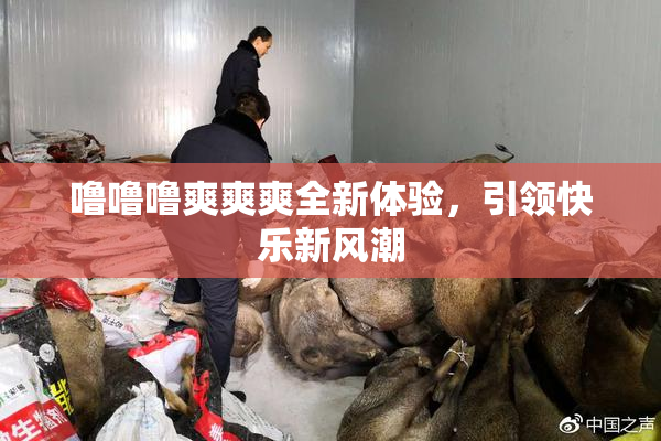 噜噜噜爽爽爽全新体验，引领快乐新风潮