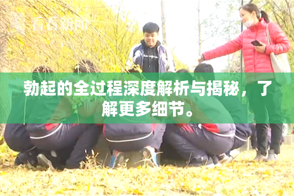 勃起的全过程深度解析与揭秘，了解更多细节。