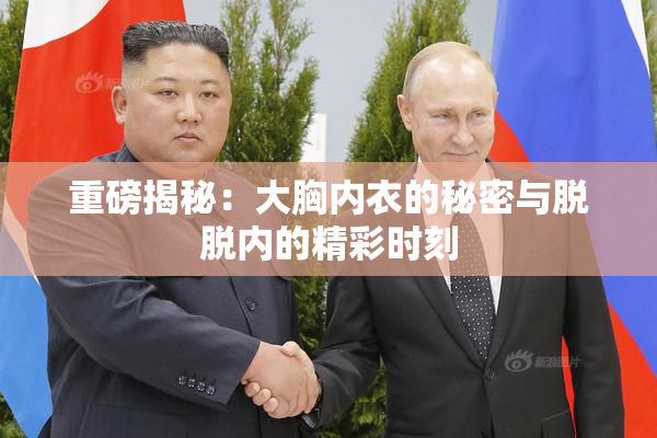 重磅揭秘：大胸内衣的秘密与脱脱内的精彩时刻