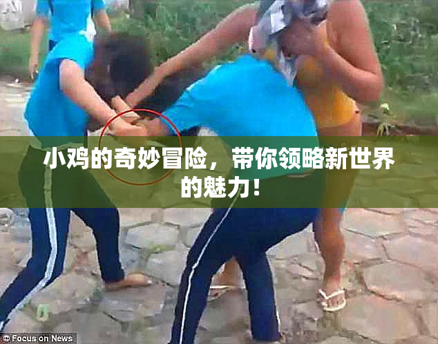 小鸡的奇妙冒险，带你领略新世界的魅力！