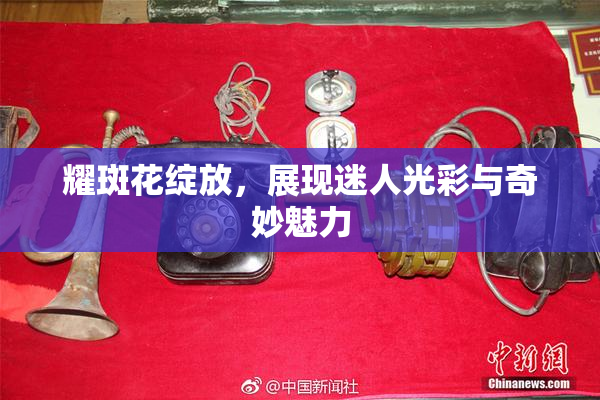 耀斑花绽放，展现迷人光彩与奇妙魅力