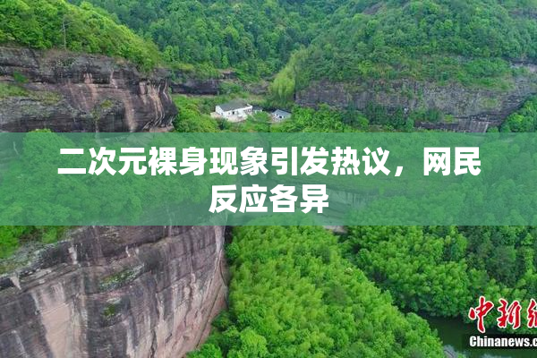 二次元裸身现象引发热议，网民反应各异