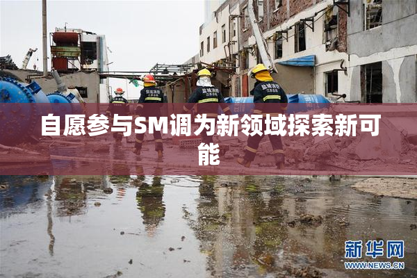 自愿参与SM调为新领域探索新可能