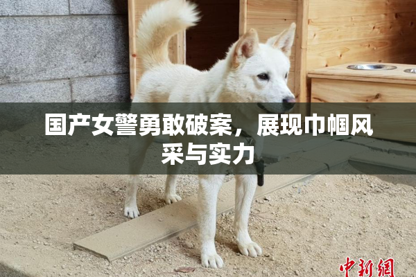 国产女警勇敢破案，展现巾帼风采与实力